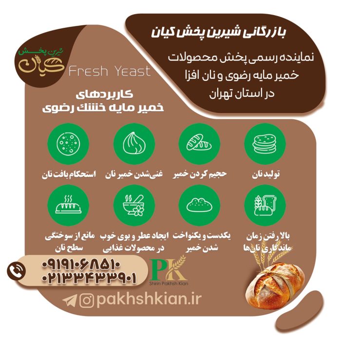 خمیر-مایه-خشک-رضوی | بازرگانی شیرین پخش کیان (کاشانی)