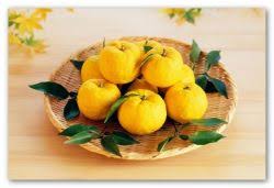 یوزو و میوه شور